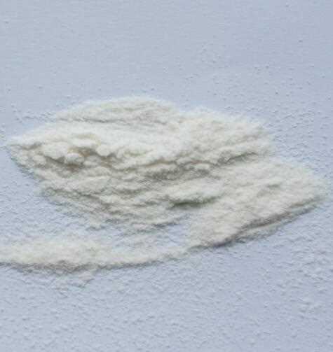 Organic Stevia Dry Leaves Sugar Pirce Stevioside Glycoside Chocolate Beverage Stevia in Powder