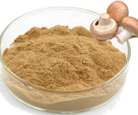 High quality pure nature lentinus edodes mycelium extract for sale,top quality lentinus edodes powder with best price