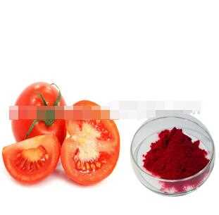 100% Pure plant extract tomato fruit extract with high quality lycopene