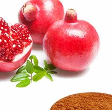 ellagic acid 70% pomegranate peel, pomegranate p e, pomegranate extract(ellagic acid 40%)