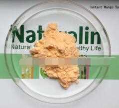 Fruit Powder, Spray dried/Freeze dried, Mango Flavors Powder