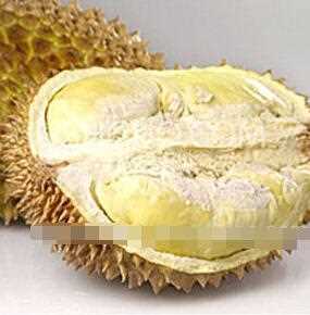 Organic Food Additive Freeze Drying Jackfruit Powder