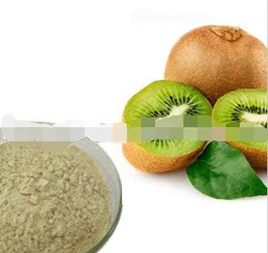 100% organic natural fruit flavor powder dried Kiwi Fruit Powder for beverage