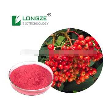 Aronia Chokeberry Fruit Powder/Instant Fruit Drink