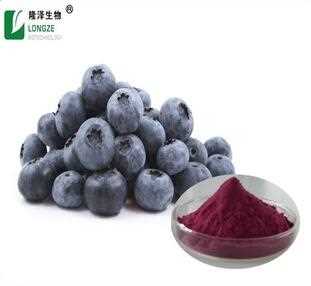 Pure and Natural arandanos en polvo supply Mexico market