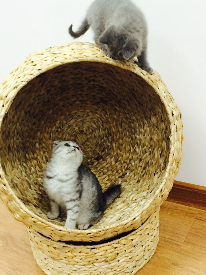 pet product wowen leaves cat bed in alibaba china pet product wowen