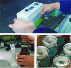 Different colors' interior and exterior wall coating products