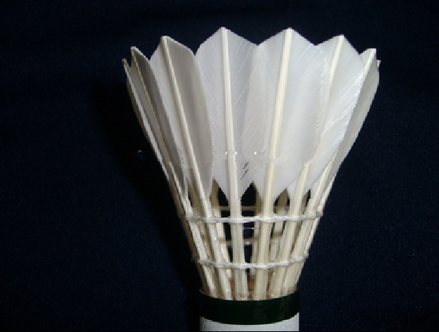 BEST water duck shuttlecock very good quality very popular in the market