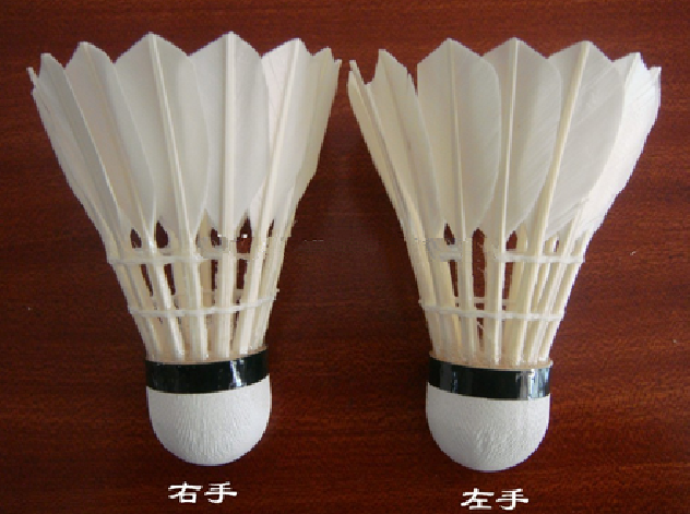 BEST water duck shuttlecock very good quality very popular in the market
