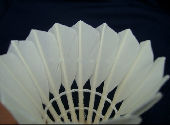 BEST water duck shuttlecock very good quality very popular in the market