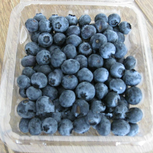 frozen blueberry fruit--iqf blueberries wild fresh blueberries wholesale