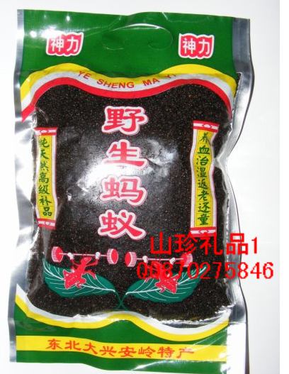 The most popular and healthy black ants