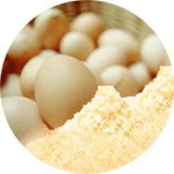Egg albumin powder