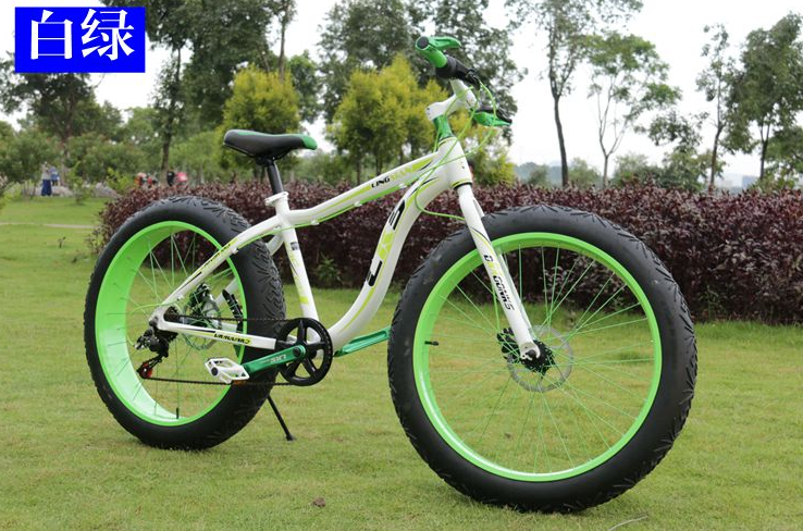 snow bicycle/snow bike/fat bik/fat bicycle (TF-SNOW BIKE 003)