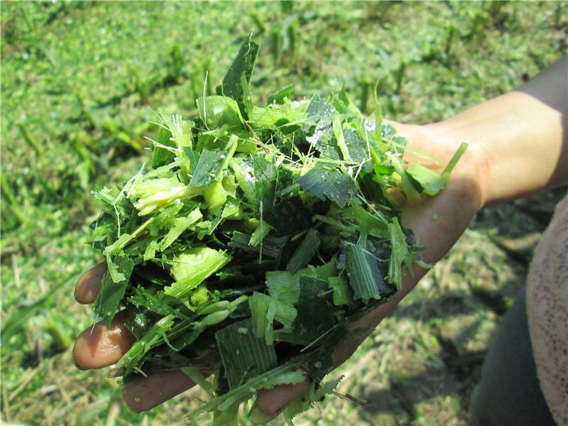 Stock-breeding machine