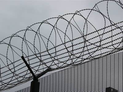 Welded razor wire fence