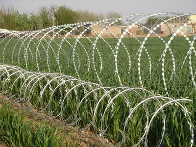 Concertina Razor Wire