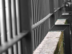 Palisade Fencing Post