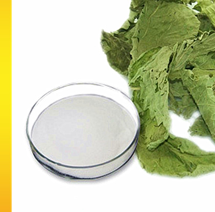 Organic Stevia Extract for Natural Sweetener