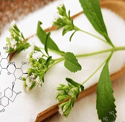 Organic Sweetleaf Stevia Extract