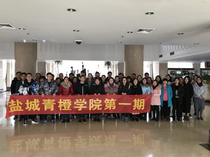 Plastic green quail feeder and drinker for sale