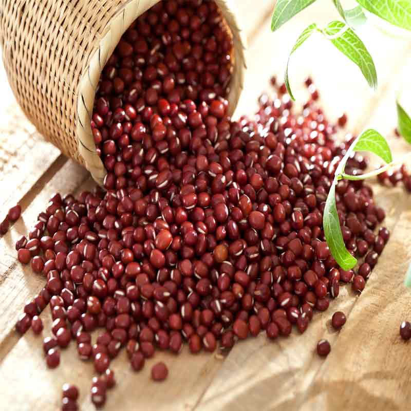 Different specification small red bean for sale