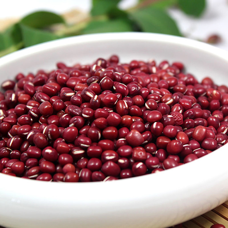 Small red bean with high nutritious healthy food for sale