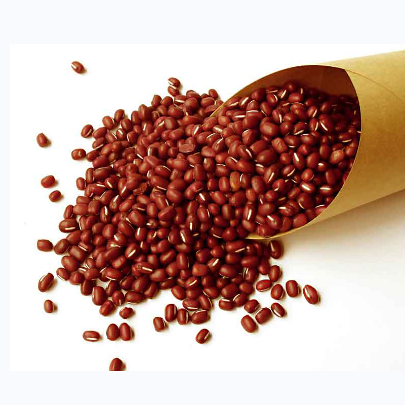Natural organic small red bean for sale
