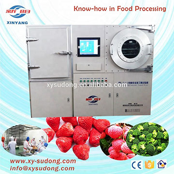 Mini Lyophilization Machine With LCD Screen