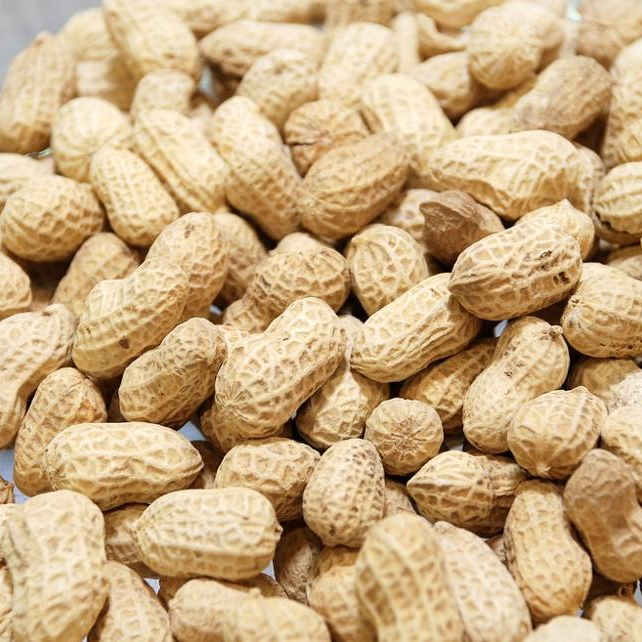 Raw Peanuts for sale