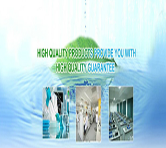 Hot sale & hot cake high quality CAS 2856-63-5 2-Chlorobenzyl cyanide with reasonable price sale