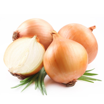 fresh yellow onion for sale