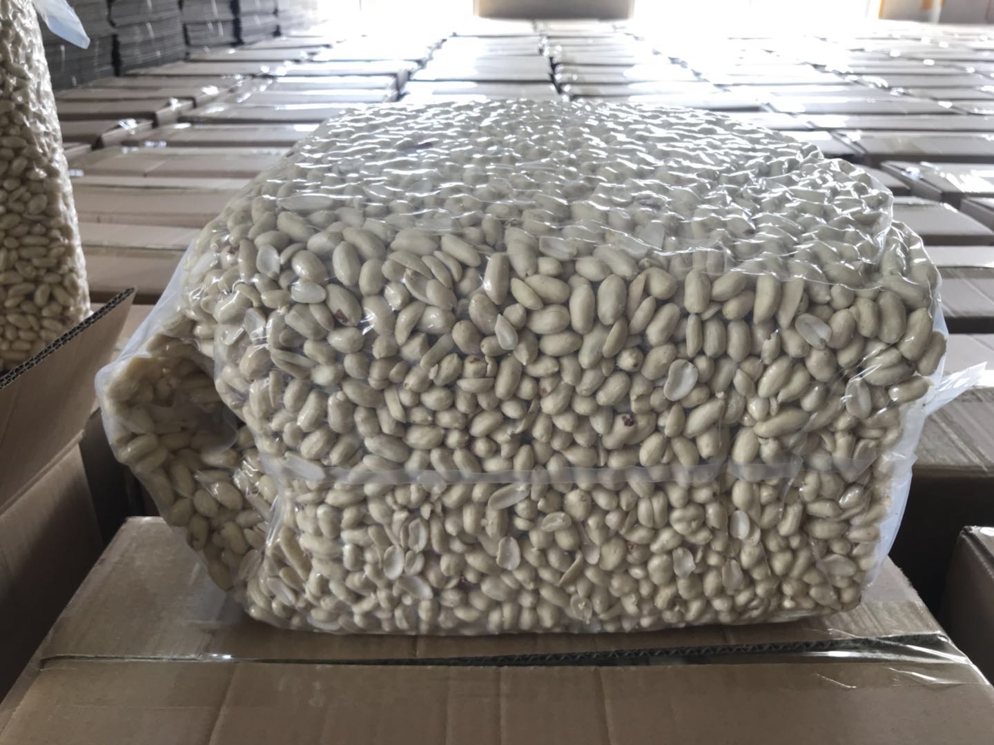 Blanched peanut kernel sale