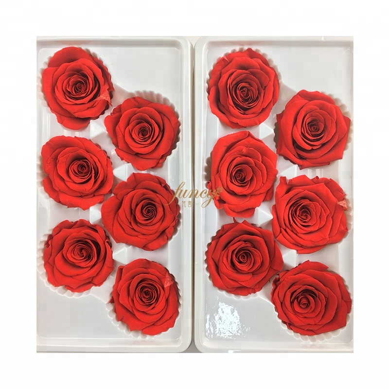 Gift Ideas for Thanksgiving Guests  Dried Dry Preserved Flowers Pink Red Rose Sale