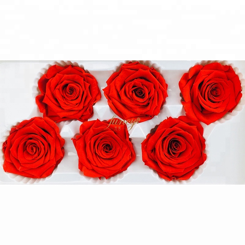 Gift Ideas for Thanksgiving Guests  Dried Dry Preserved Flowers Pink Red Rose Sale