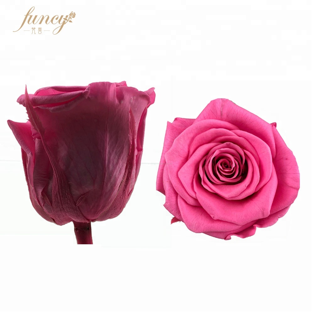 Gift Ideas for Thanksgiving Guests  Dried Dry Preserved Flowers Pink Red Rose Sale