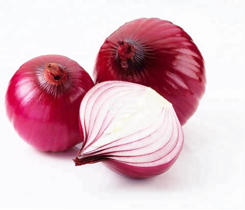 Indian Red Onion for sale