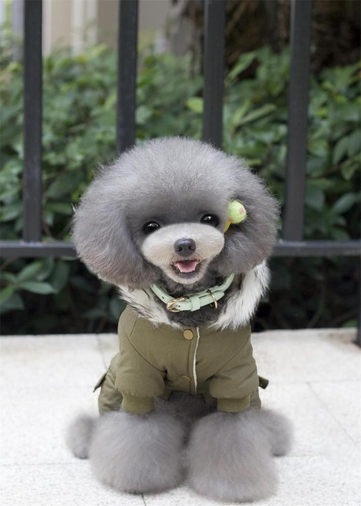 New Thickness Hooded Driver Style Cotton Winter Pet Dogs Four Legs Coat sale