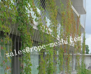Stainless Steel Rope Mesh Green wall