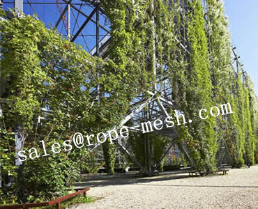 Stainless Steel Rope Mesh Green wall
