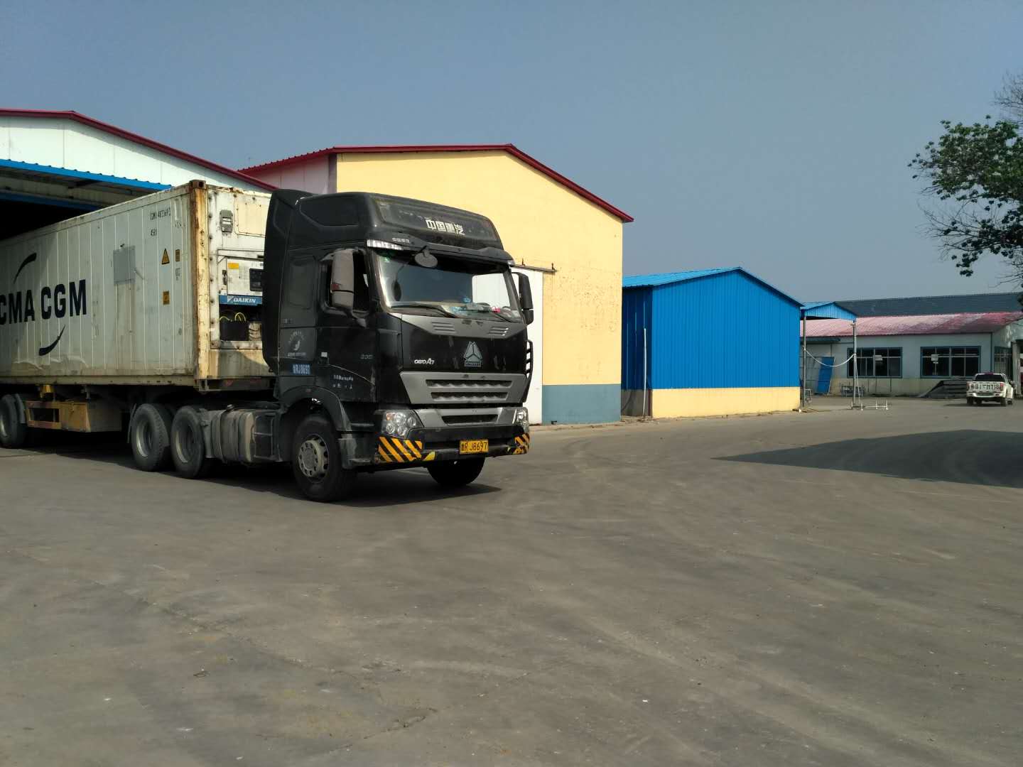 Pure natural organic fresh tomato for sale