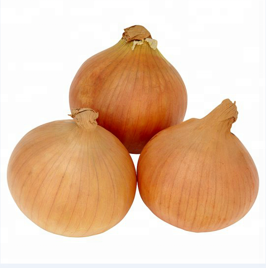 high quality fresh yellow onion export to Dubai sale