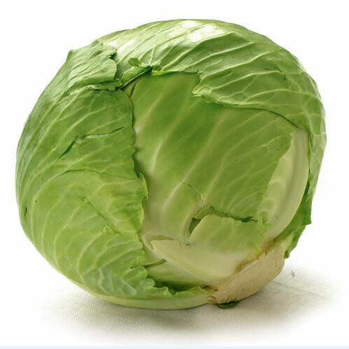 High quality fresh round cabbage for sale