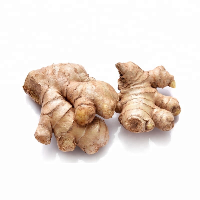 fresh new ginger with reasonable price for sale