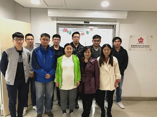 Wholesale Price IQF FrozenTruffles with High Quality for sale