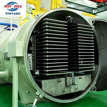 New condition Vacuum Freeze Dry Machine For Fruit and Vegetable