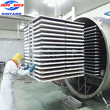 LG125m2 CE certificate Fruit and Vegetable Food Freeze Dry Machine