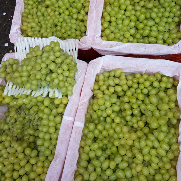 Fresh Grapes for sale