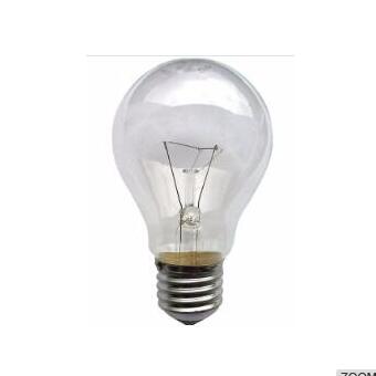 Economical Price 110v 220v 25w Incandescent Bulb e27