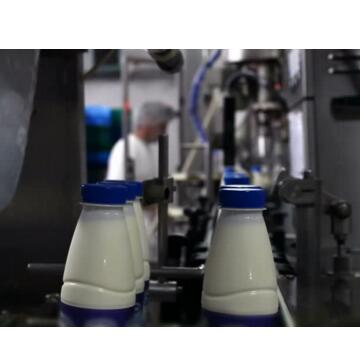 automatic cheese making machine